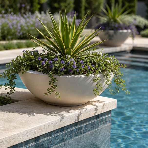 Pool Planter Ideas materials and planting