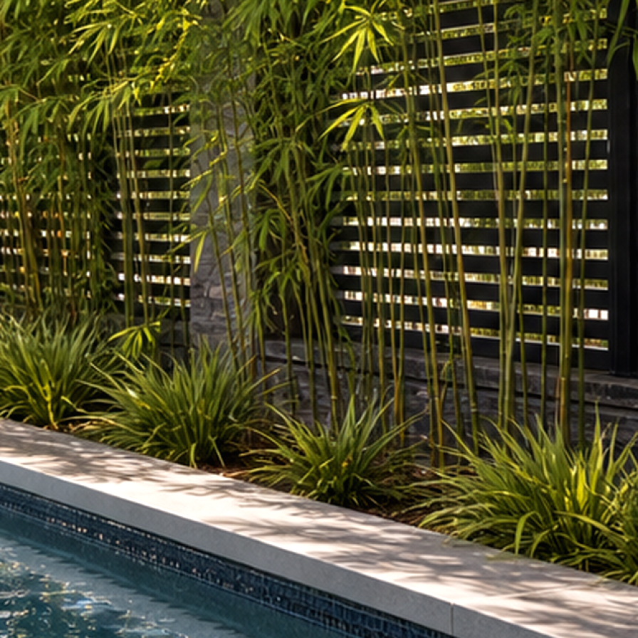 Pool Privacy Ideas materials and planting